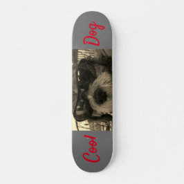 Coole Hond Met Zonnebril Persoonlijk Skateboard