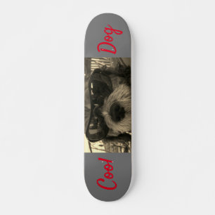 Coole Hond Met Zonnebril Persoonlijk Skateboard