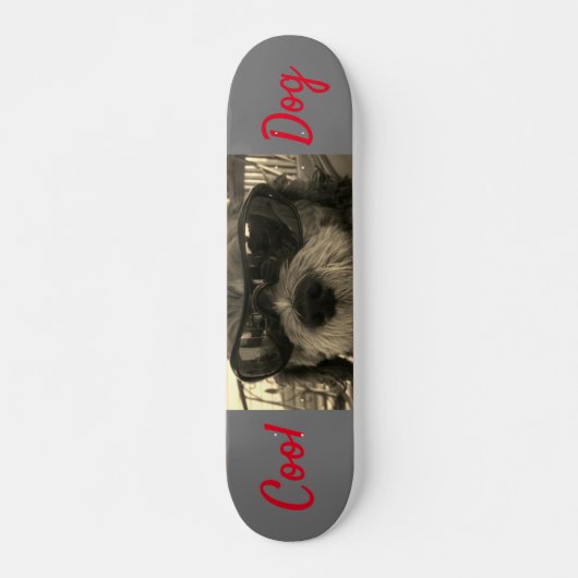 Coole Hond Met Zonnebril Persoonlijk Skateboard (Voorkant)