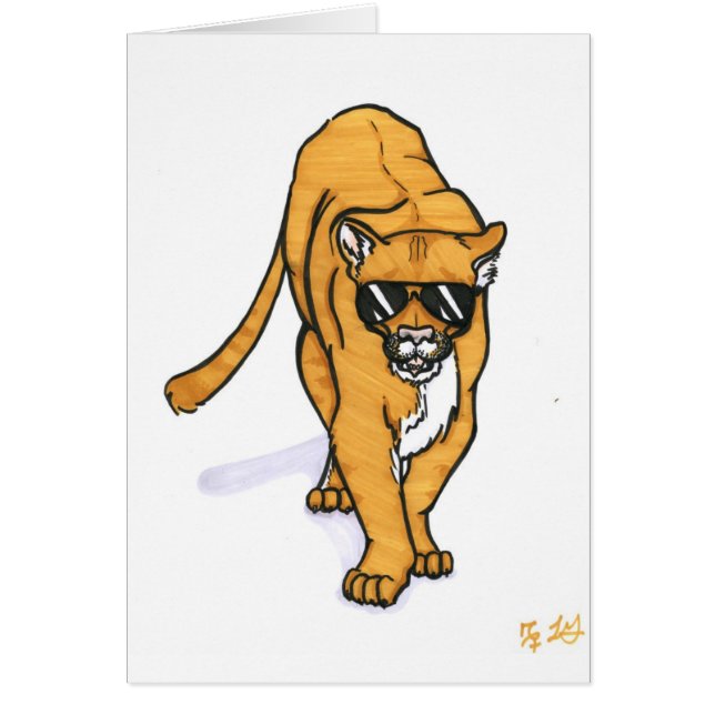 coole kat (Voorkant)