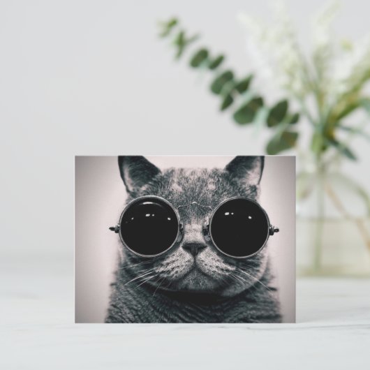 coole kat! briefkaart (Staand voorkant)