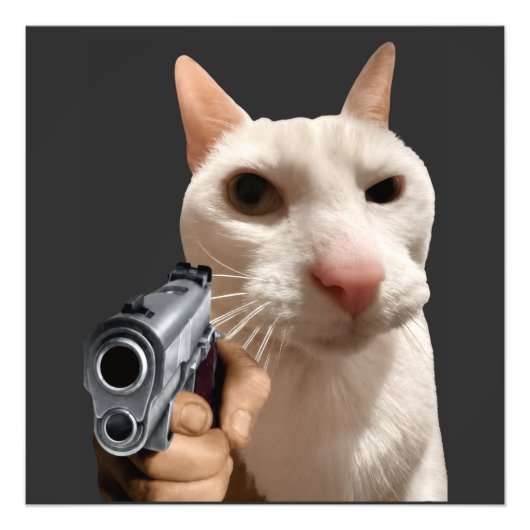 Coole Kat Met Pistool Grappige Meme Foto Afdruk (Voorkant)