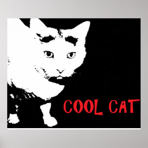 COOLE KAT POSTER