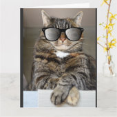 COOLE KAT VERJAARDAGSKAARTEN OVERGROOT KAART (Gele Bloem)