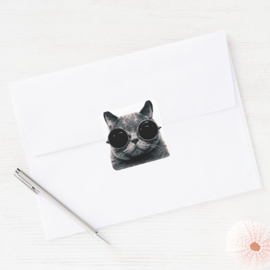 COOLE KAT. VIERKANTE STICKER (Envelop)