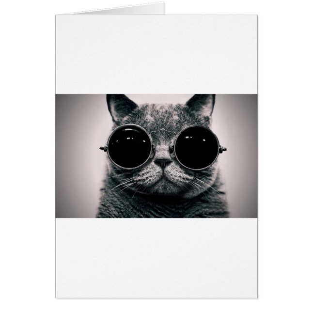 coole kattenkool met schoppen (Voorkant)