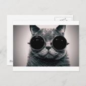 coole kattenkool met schoppen briefkaart (Voorkant / Achterkant)