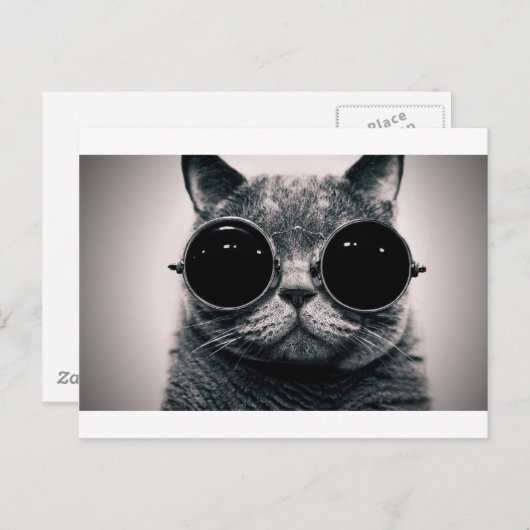 coole kattenkool met schoppen briefkaart (Voorkant / Achterkant)