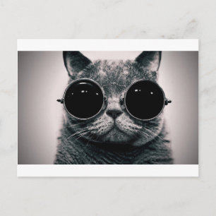 coole kattenkool met schoppen briefkaart