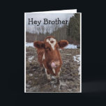 COOLE KOE ZEGT: "GELUKKIGE VERJAARDAG BROEDER" KAART<br><div class="desc">DEZE KOE WOONT EEN PAAR KILOMETER VAN ONS VANDAAN. WE HOUDEN ERVAN DAT HIJ LAATST POSEERDE EN NU KAN HIJ "HAPPY BIRTHDAY" OP EEN LEUKE MANIER ZEGGEN TEGEN IEMAND IN "YOUR LIFE" BEDANKT VOOR HET STOPPEN BIJ 1 VAN MIJN 8 WINKELS!</div>