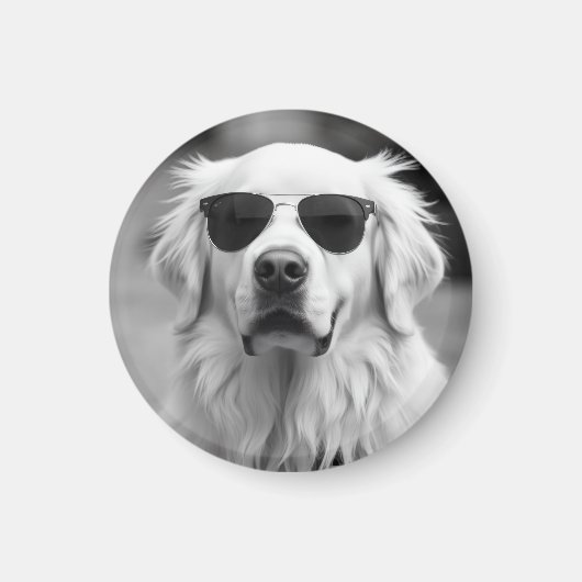 Coole Labrador met zonnebril – Grappig hondenontwe Magneet (Voorkant)