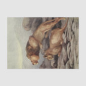 coole leeuw-liefhebbers ontcijferen liefhebbers tissuepapier (Voorkant)