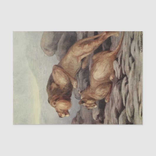 coole leeuw-liefhebbers ontcijferen liefhebbers tissuepapier (Voorkant)