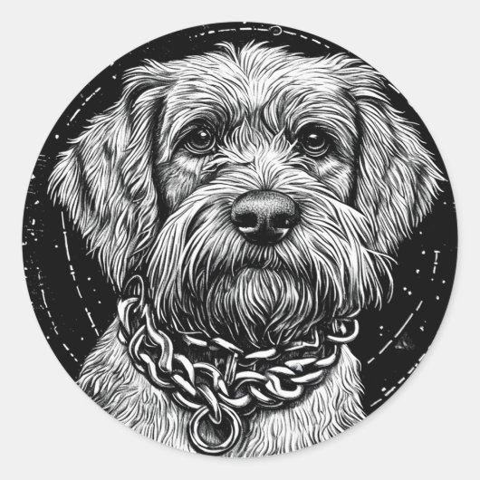 Coole rashond ronde sticker (Voorkant)