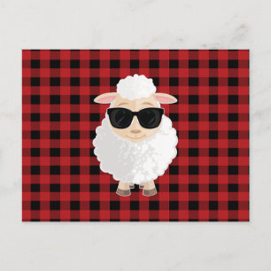 Coole Schapen Zonnebril Rode Gingham Schattig Cart Briefkaart