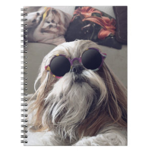 Coole Shih Tzu lang haar vintage zonnebril foto Notitieboek