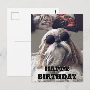 Coole Shih Tzu lange haren vintage foto verjaardag Briefkaart