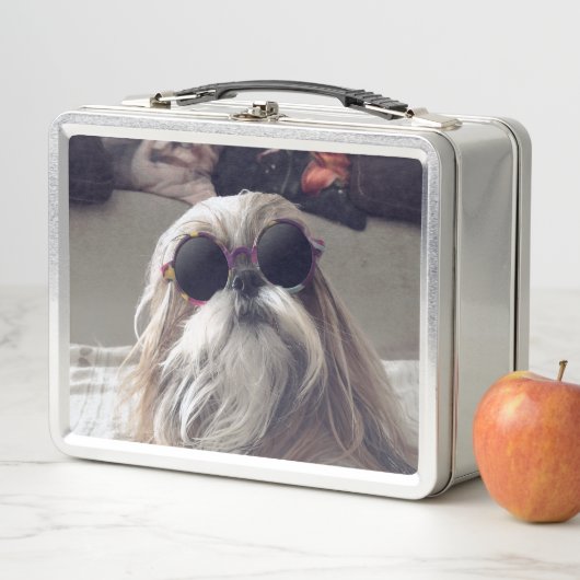 Coole Shih Tzu met lange haren vintage zonnebril f (In situ)