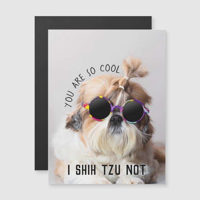 Coole Shih Tzu Niet leuk knuffel Zonnebril Foto (Voorkant / Achterkant)