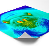 coole walrus poster (Hoek)