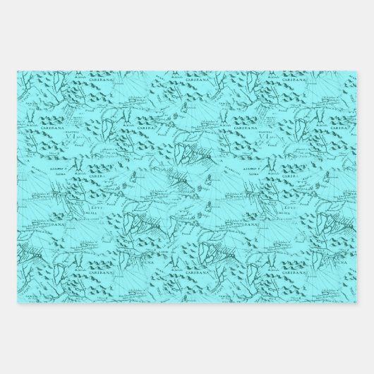 coole zestrand party Wrapping Paper Sheets  (Voorkant 3)