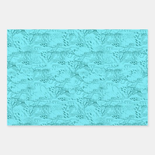 coole zestrand party Wrapping Paper Sheets  (Voorkant)