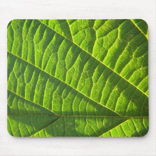 Cooles grünes Blattmuster Muismat (Voorkant)