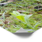 Cooling Off Poster (Hoek)