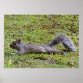 Cooling Off Poster (Voorkant)