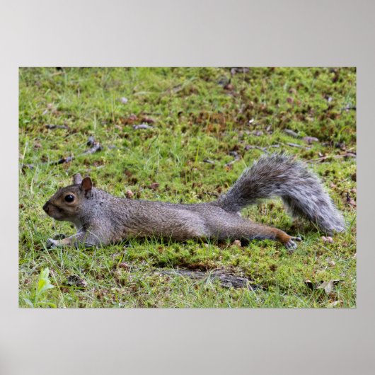 Cooling Off Poster (Voorkant)