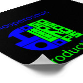 Cooliosperosachtig Poster (Hoek)