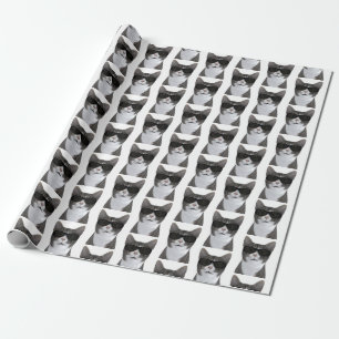 Coolste Kat In De Stad Cadeaupapier