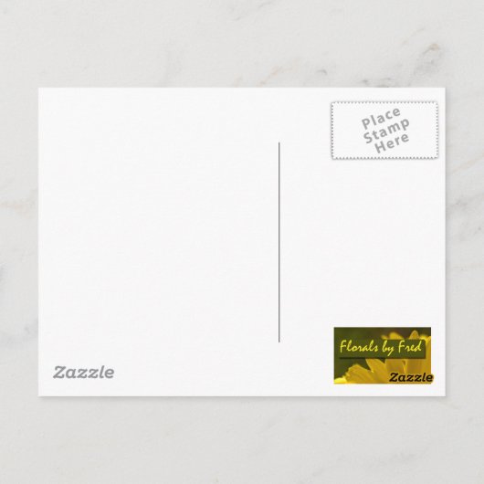 Coon Creek Cabin Briefkaart (Achterkant)