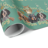 Coon Dog kan niet slechts één hebben Cadeaupapier (Rol Hoek)