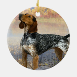 Coon Dog Ornament