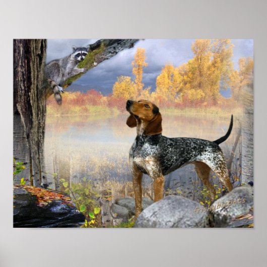 Coon Dog Trees Raccoon Poster (Voorkant)