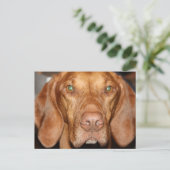 Coon Hound Briefkaart (Staand voorkant)