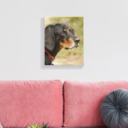 Coon hound - Gracie Lou Canvas Afdruk (Insitu (Woonkamer))