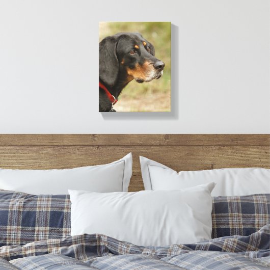Coon hound - Gracie Lou Canvas Afdruk (Insitu (Slaapkamer))