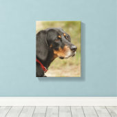 Coon hound - Gracie Lou Canvas Afdruk (Insitu (Houten vloer))