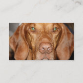 Coon Hound Visitekaartje (Achterkant)