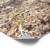 Coon Hounds Treeing Poster (Hoek)