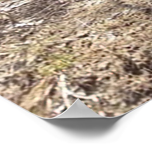 Coon Hounds Treeing Poster (Hoek)