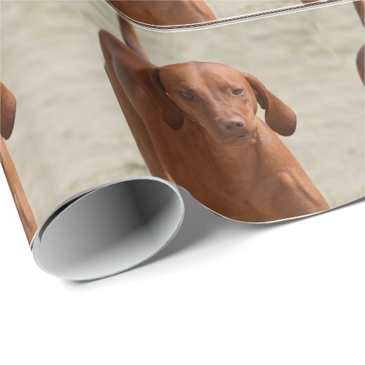 Coonhound Cadeaupapier (Rol Hoek)