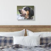 Coonhound Canvas Afdruk (Insitu (Slaapkamer))