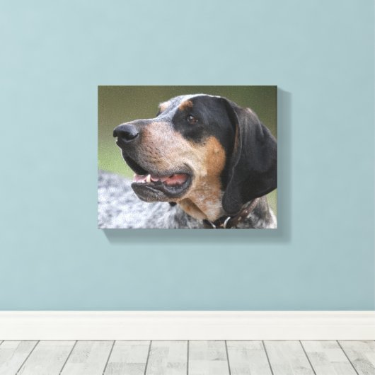 Coonhound Canvas Afdruk (Insitu (Houten vloer))