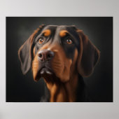 Coonhound Dog Poster (Voorkant)
