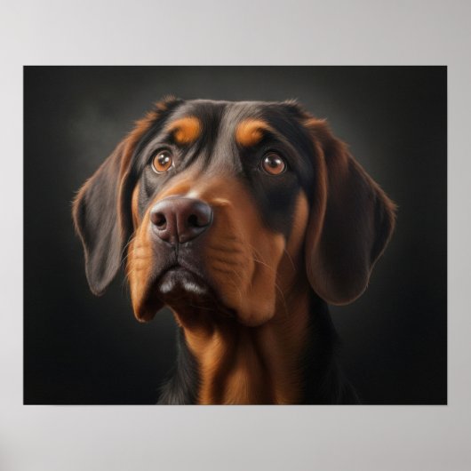 Coonhound hond poster (Voorkant)