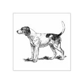 Coonhound Hondenras Rubberstempel (Afrduk)