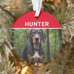 Coonhound met de naam van de hond en kerstfoto ornament